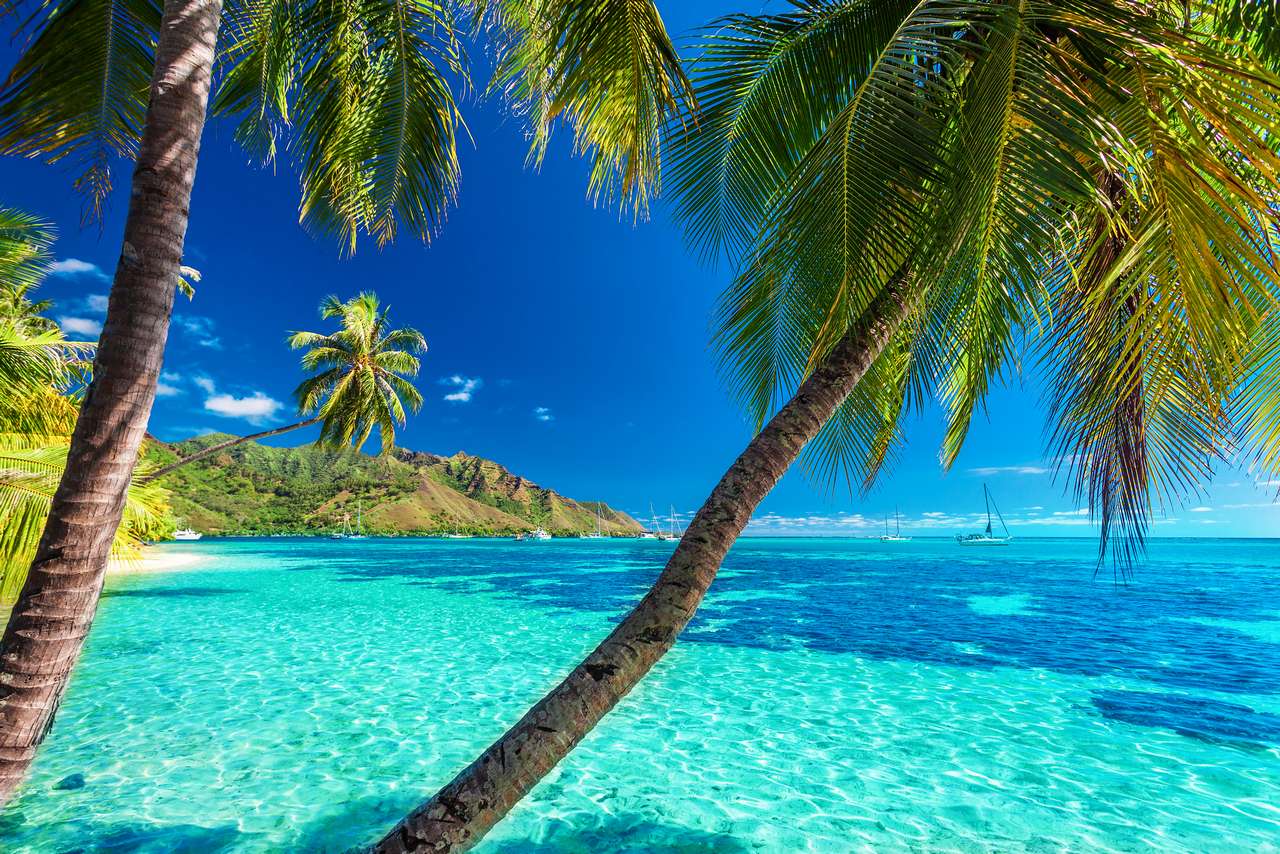 French Polynesia